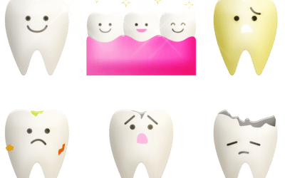 How to Choose the Best Orthodontist for Your Family